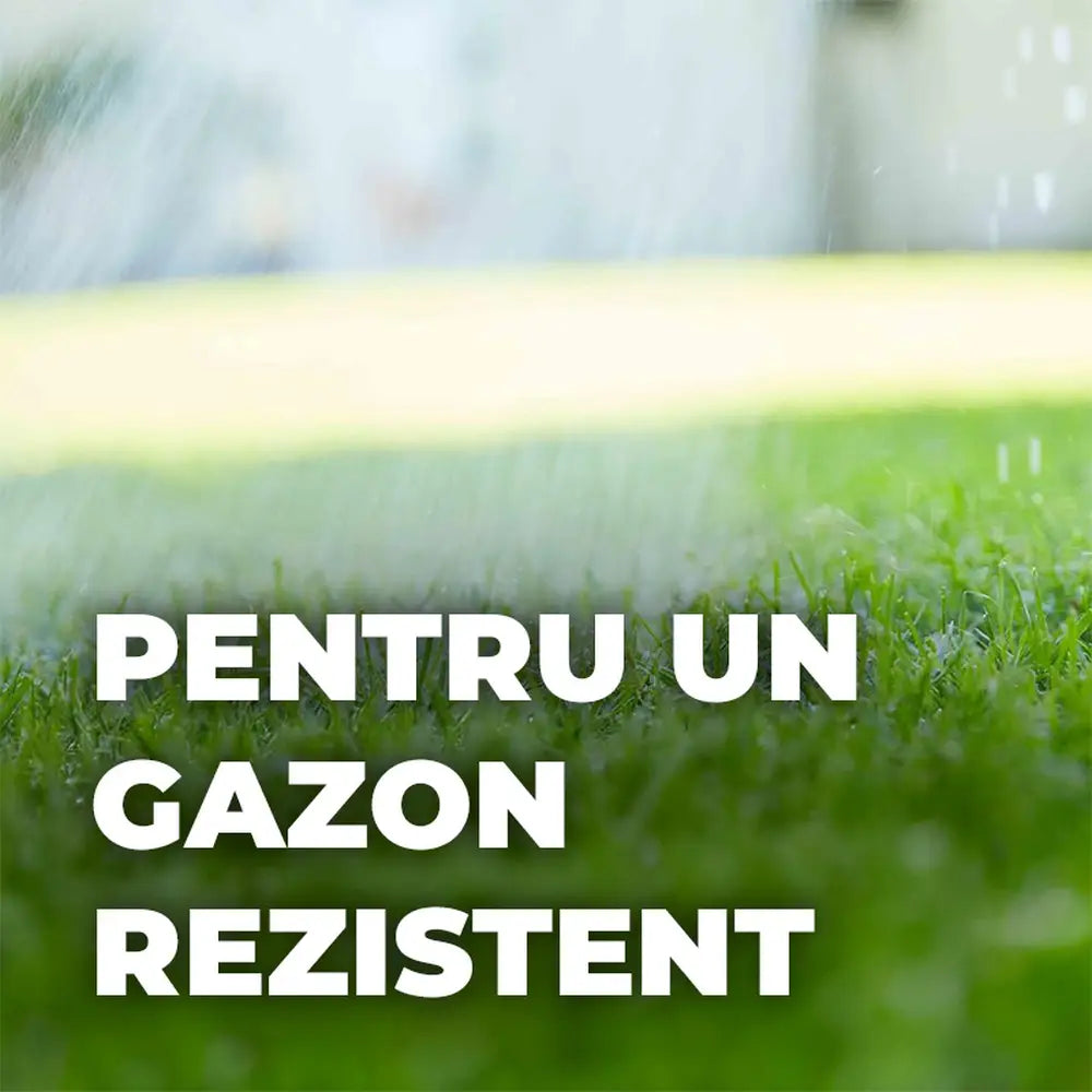 Ingrasamant gazon Compo efect de 3 luni 8 kg pentru 320 mp granule fine