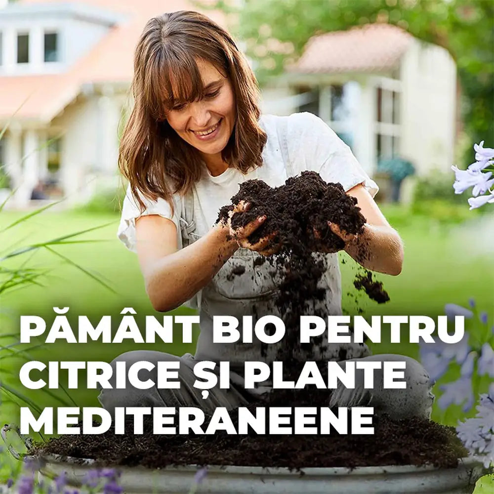 Pamant special Compo Sana pentru citrice si plante mediteraneene 10 litri cu fertilizare pentru 12 saptamani
