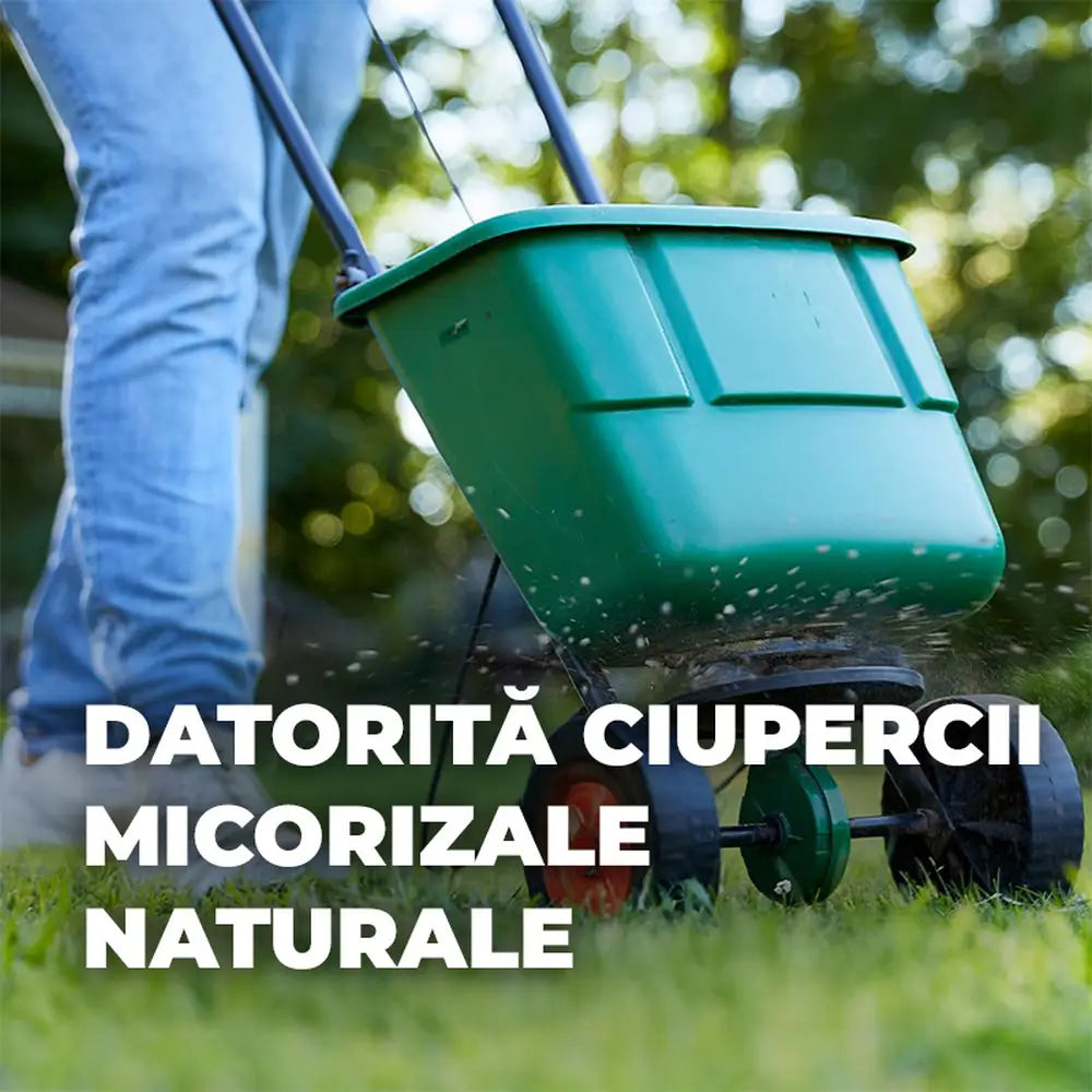 Ingrasamant gazon COMPO Turbo, 5 kg pentru 130 mp, gazon dens, verde si rezistent cu efect rapid si nutritie echilibrata