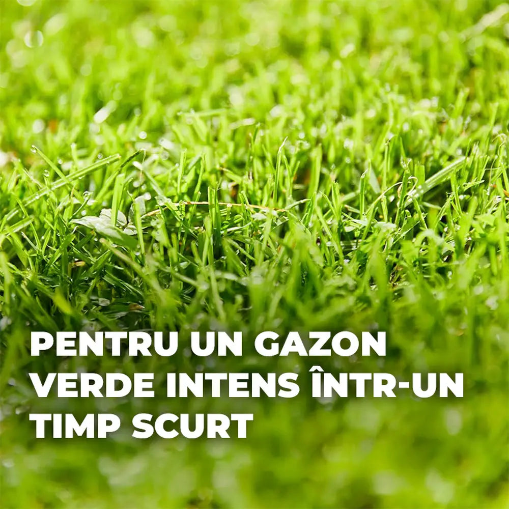 Ingrasamant gazon COMPO Turbo, 5 kg pentru 130 mp, gazon dens, verde si rezistent cu efect rapid si nutritie echilibrata