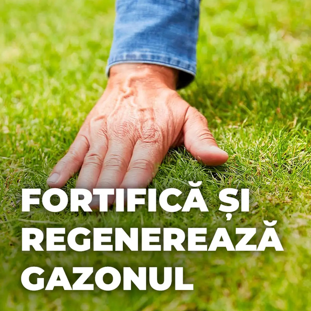 Ingrasamant lichid COMPO impotriva buruienilor si muschiului 2.5 L, efect rapid pentru gazon verde si sanatos