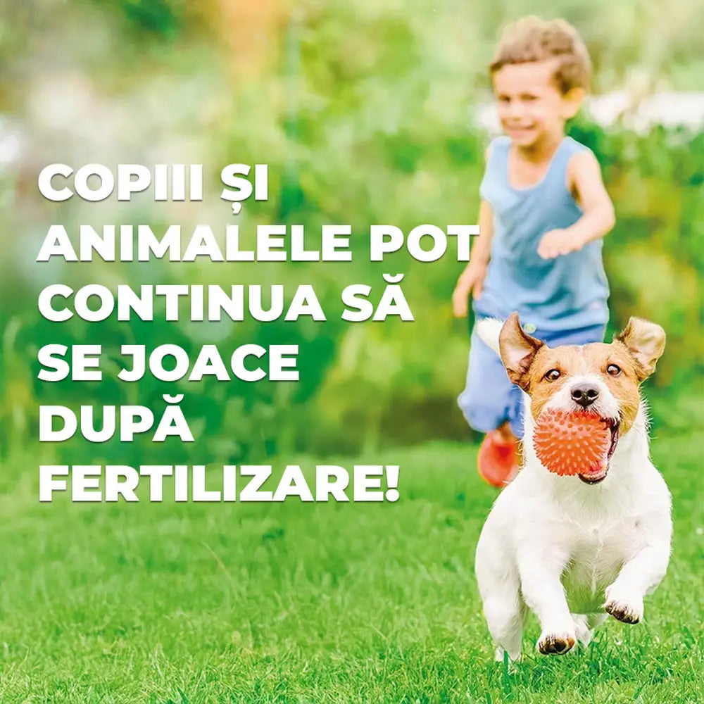 Ingrasamant gazon Substral cu eliberare lenta 2 kg pentru 200 mp efect 100 zile cu azot incapsulat