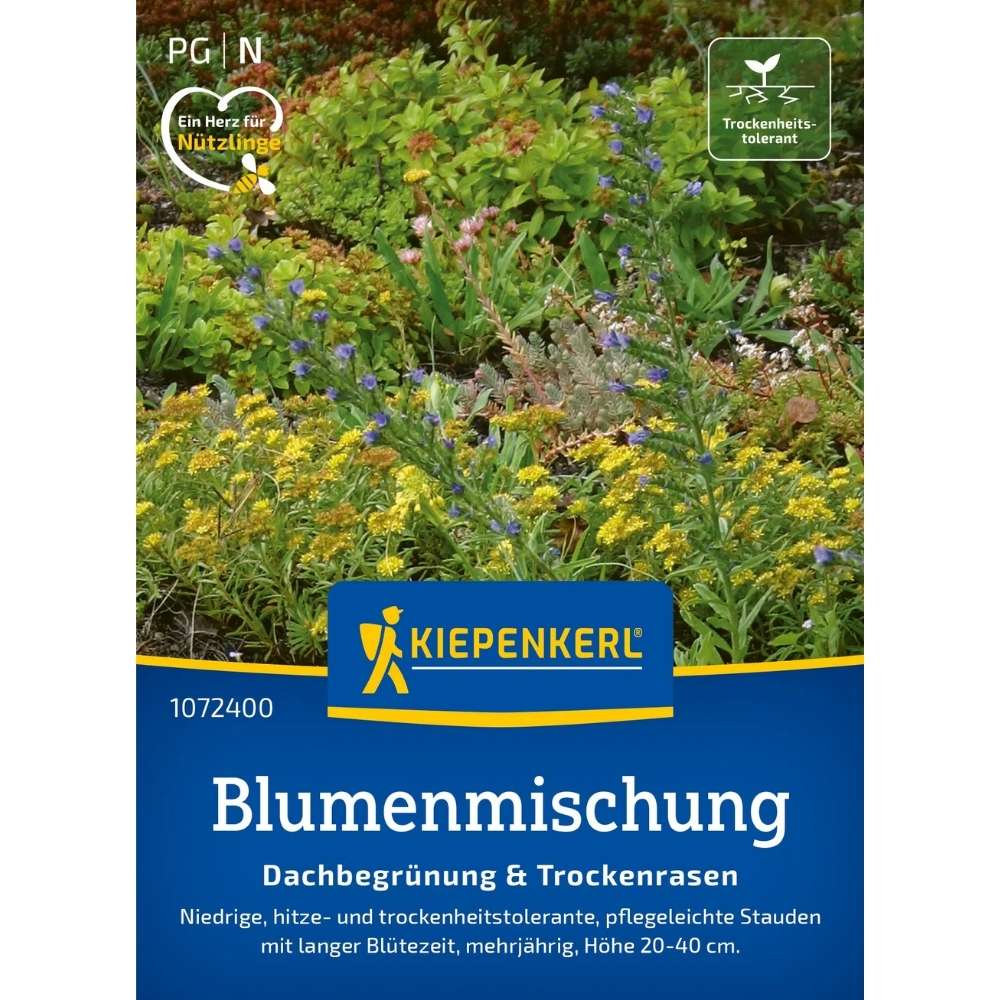 Seminte pentru acoperis verde si peluze uscate – mix rezistent la seceta, ajunge pentru 2 - 4 m²