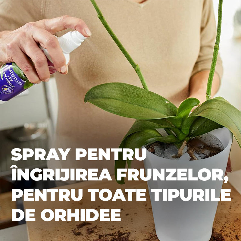 Spray Nutritiv pentru Frunze de Orhidee, 250 ml, Gata de Utilizare, COMPO