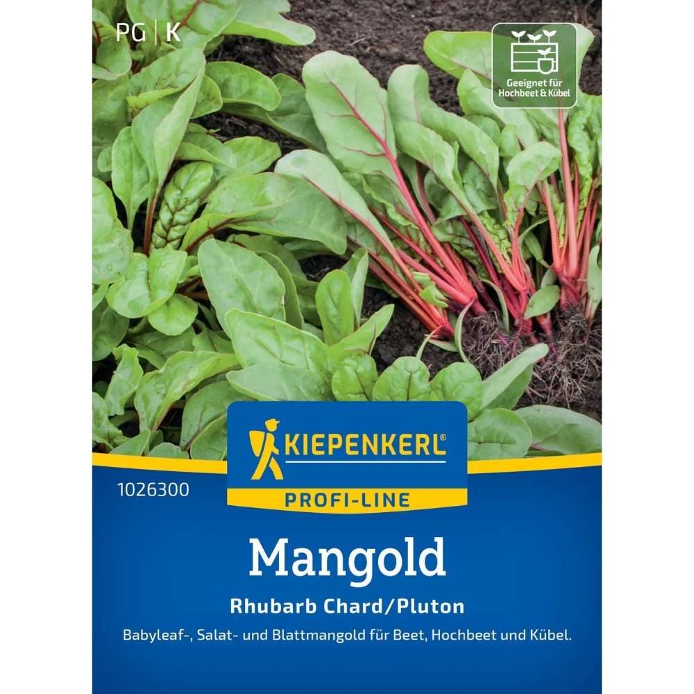 Seminte de mangold rosu – Rhubarb Chard/Pluton, frunze decorative, ajunge pentru 2-3 Metri Liniari