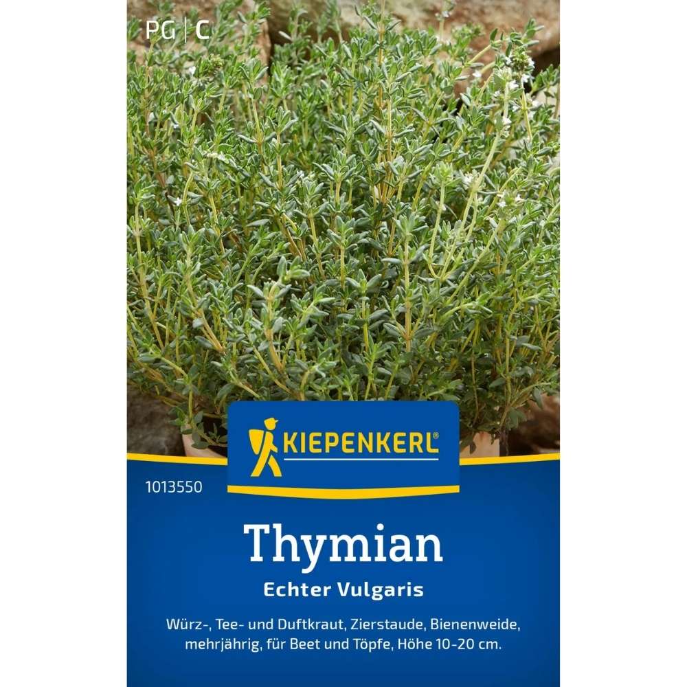 Seminte de cimbru – Thymus vulgaris, planta aromatica perena, ajunge pentru 150 Plante