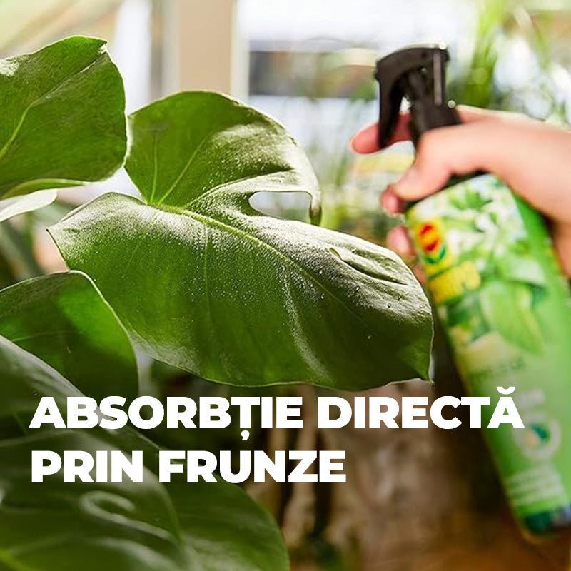 Ingrasamant Lichid pentru Ingrijirea Frunzelor Plantelor Verzi si Palmieri, 500 ml, Sticla cu Pulverizator, COMPO