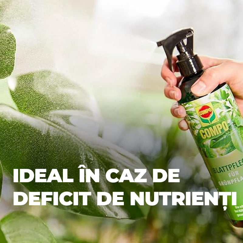 Ingrasamant Lichid pentru Ingrijirea Frunzelor Plantelor Verzi si Palmieri, 500 ml, Sticla cu Pulverizator, COMPO