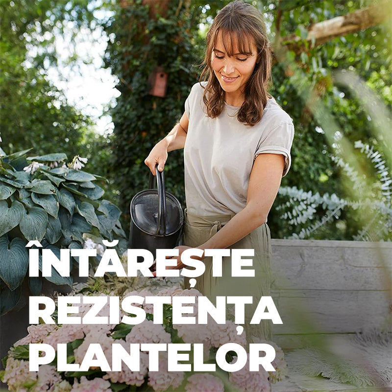 Ingrasamant Lichid pentru Hortensii si Camelii, 1 l, cu Extra Fier, COMPO