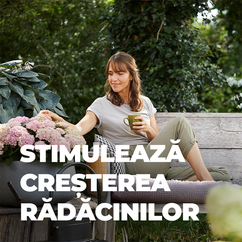 Ingrasamant Lichid pentru Hortensii si Camelii, 1 l, cu Extra Fier, COMPO