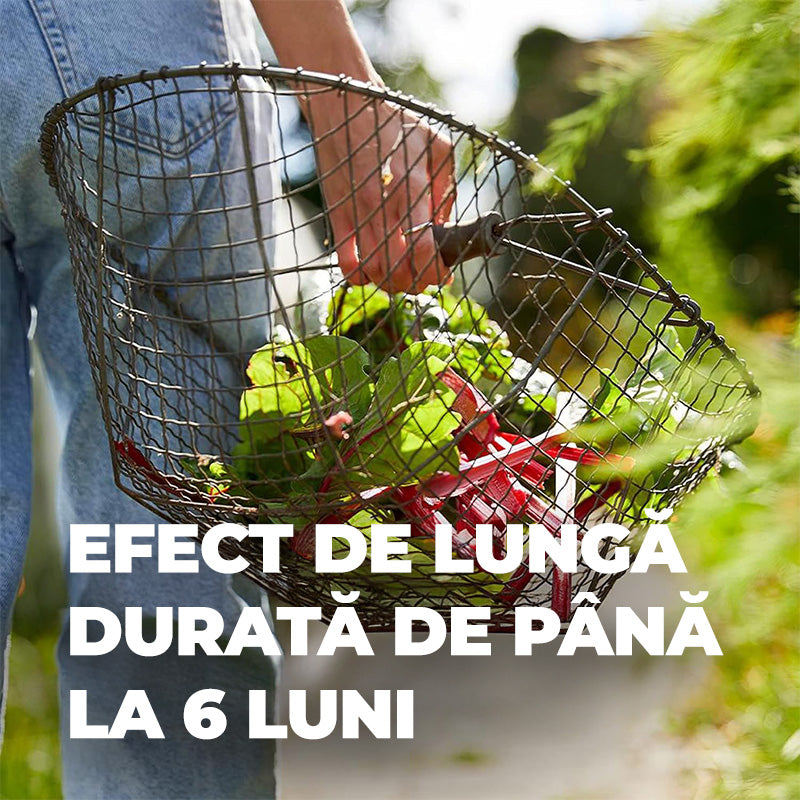 Ingrasamant pentru Gradina, pentru Flori, Fructe si Legume, 2 kg, Efect de Lunga Durata 6 luni, COMPO