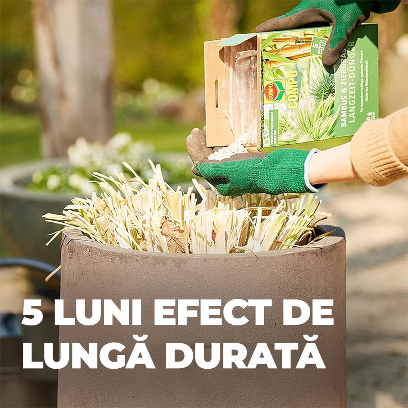 Ingrasamant pentru Bambus si Ierburi Ornamentale, 850 g, 22 m², Formul Ecologica, Efect de Lunga Durata 5 Luni, COMPO