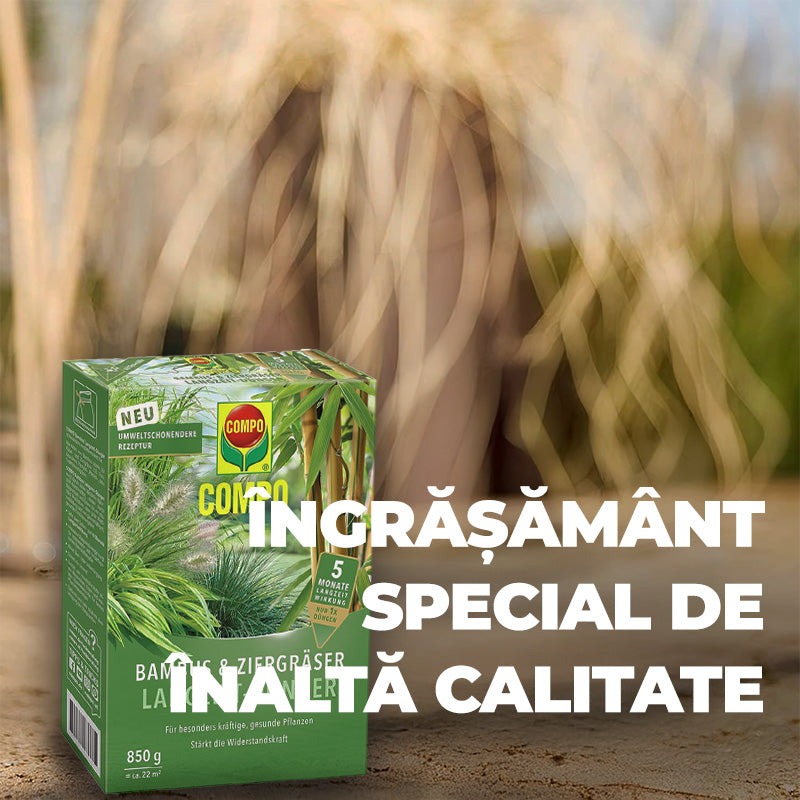 Ingrasamant pentru Bambus si Ierburi Ornamentale, 850 g, 22 m², Formul Ecologica, Efect de Lunga Durata 5 Luni, COMPO