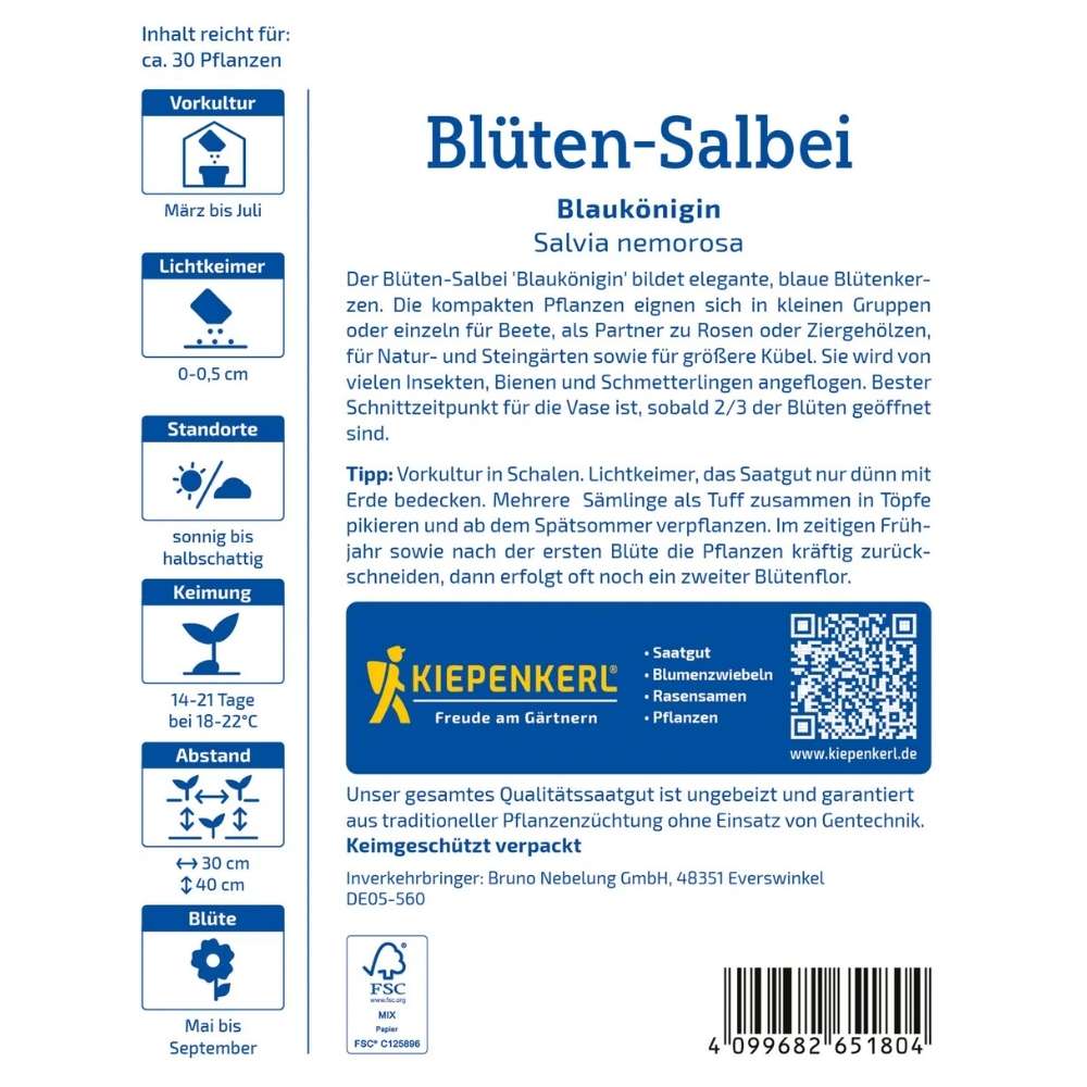 Seminte de salvie decorativa – varietate Blaukönigin, albastru intens, ajunge pentru 30 Plante