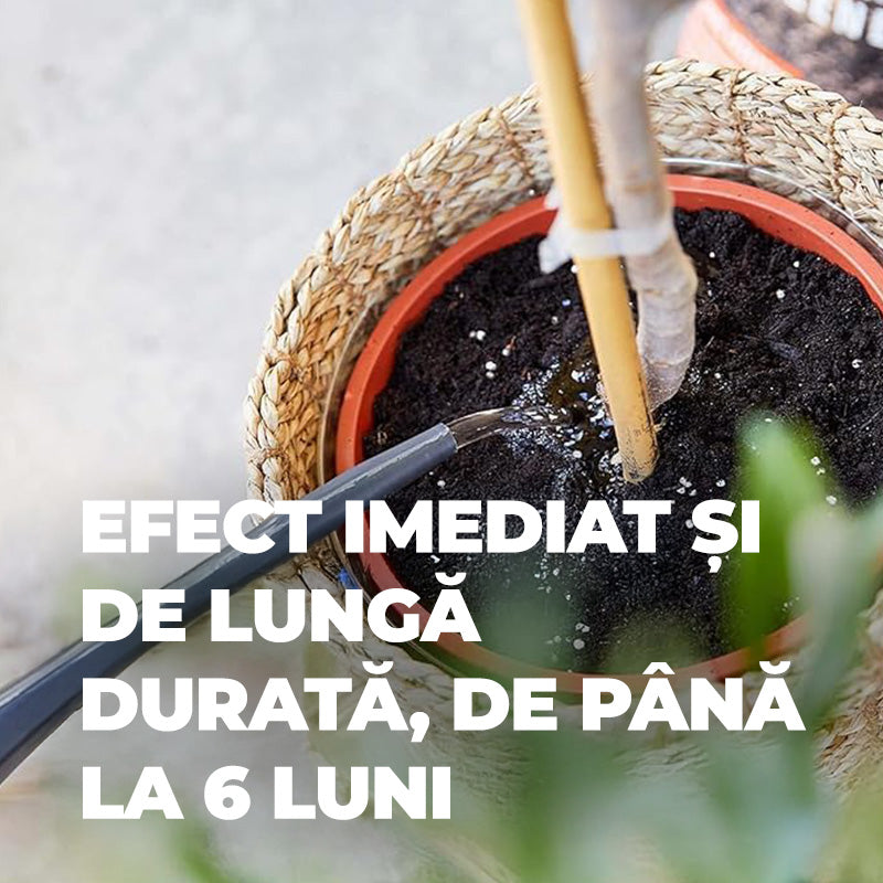 Ingrasamant pentru Plante Mediteraneene, 1.5 kg pentru 50 m², Efect de Lunga Durata 6 Luni, COMPO