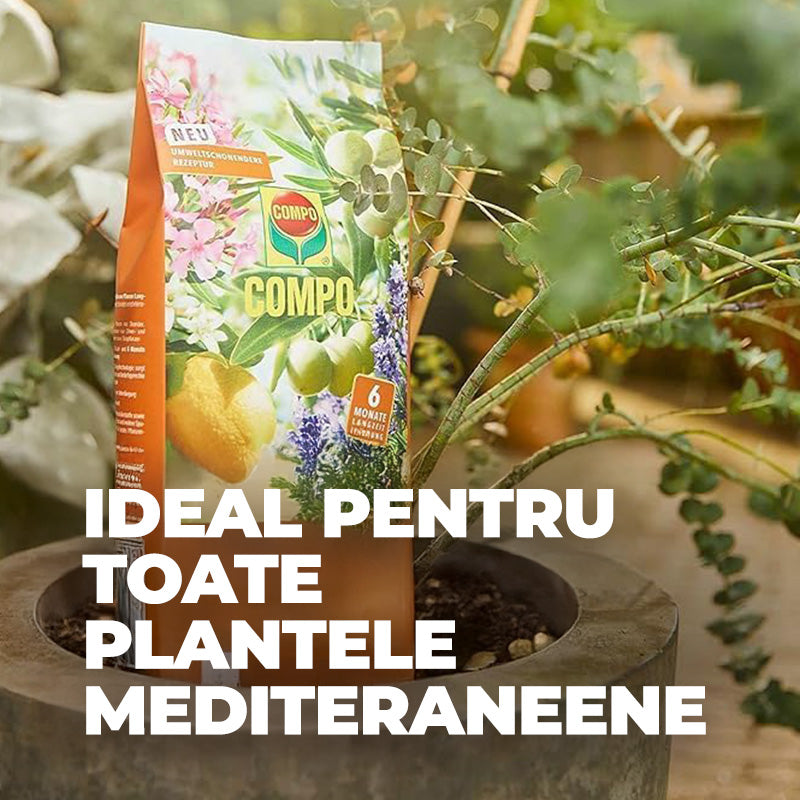 Ingrasamant pentru Plante Mediteraneene, 1.5 kg pentru 50 m², Efect de Lunga Durata 6 Luni, COMPO
