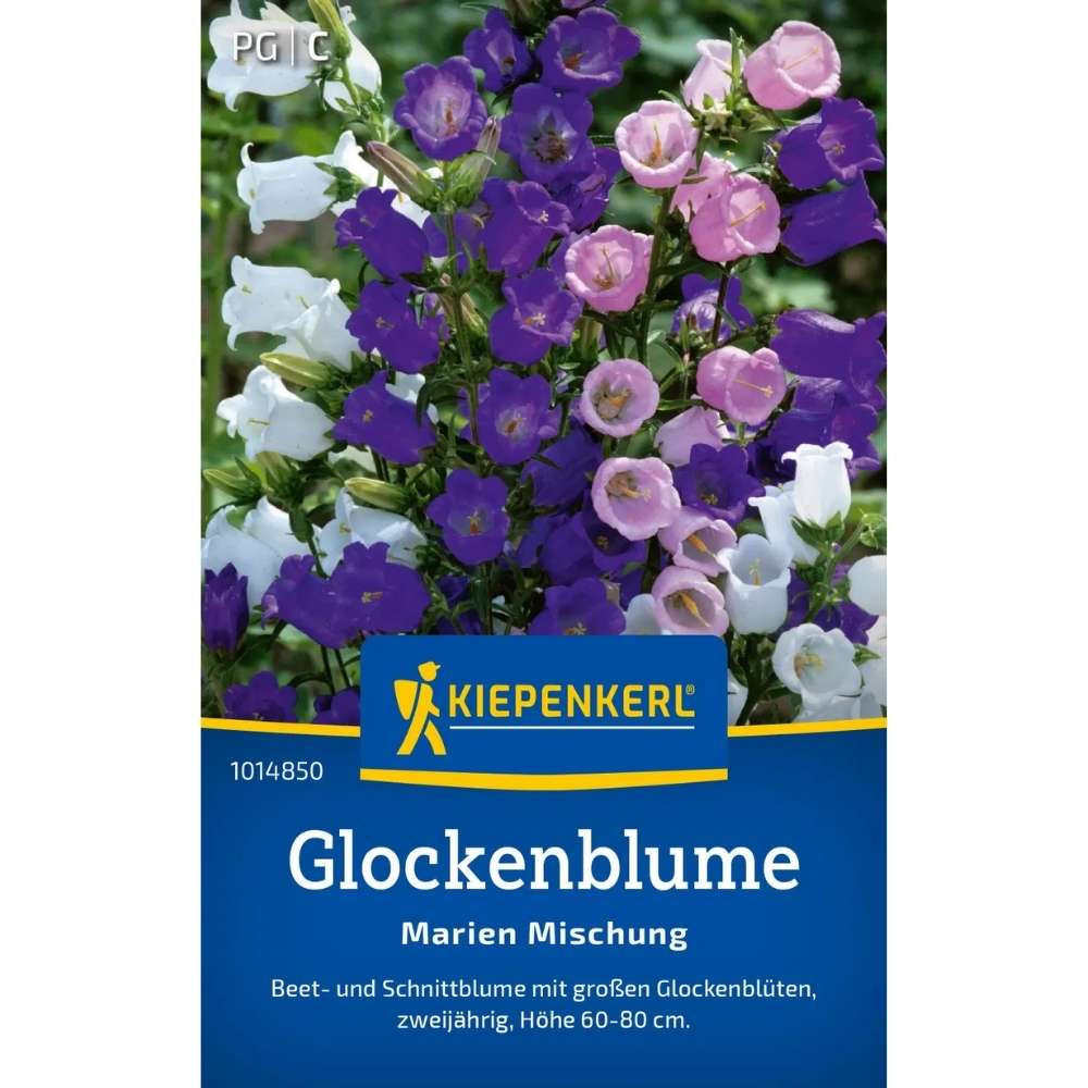 Seminte de clopotei Marien – flori albastre pentru straturi perene, ajunge pentru 150 Plante