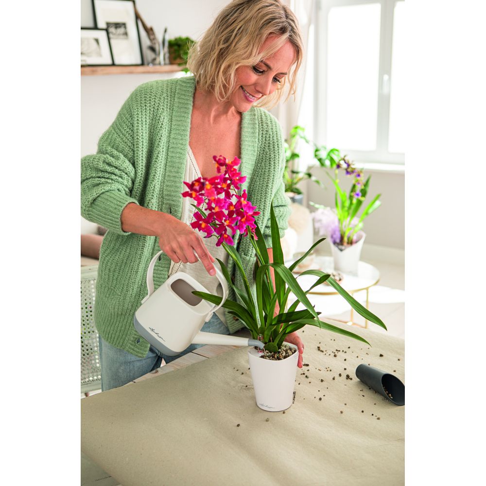 Stropitoare Lechuza YULA, 1,7 l capacitate, Alb/Gri, Protectie anti-picurare, Plastic de inalta calitate