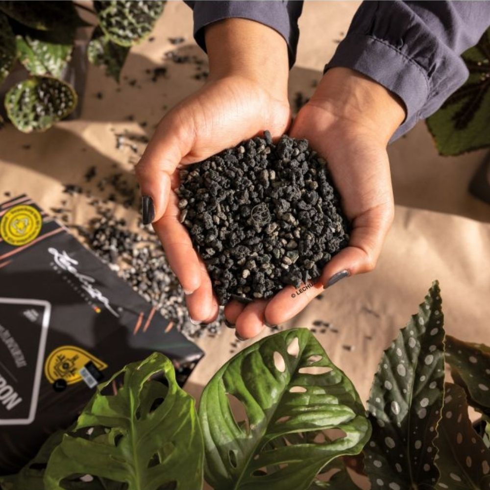 Substrat Mineral LECHUZA Blackstonepon 6 l, 100% fara turba, culoare neagra deosebita, cu ingrediente naturale