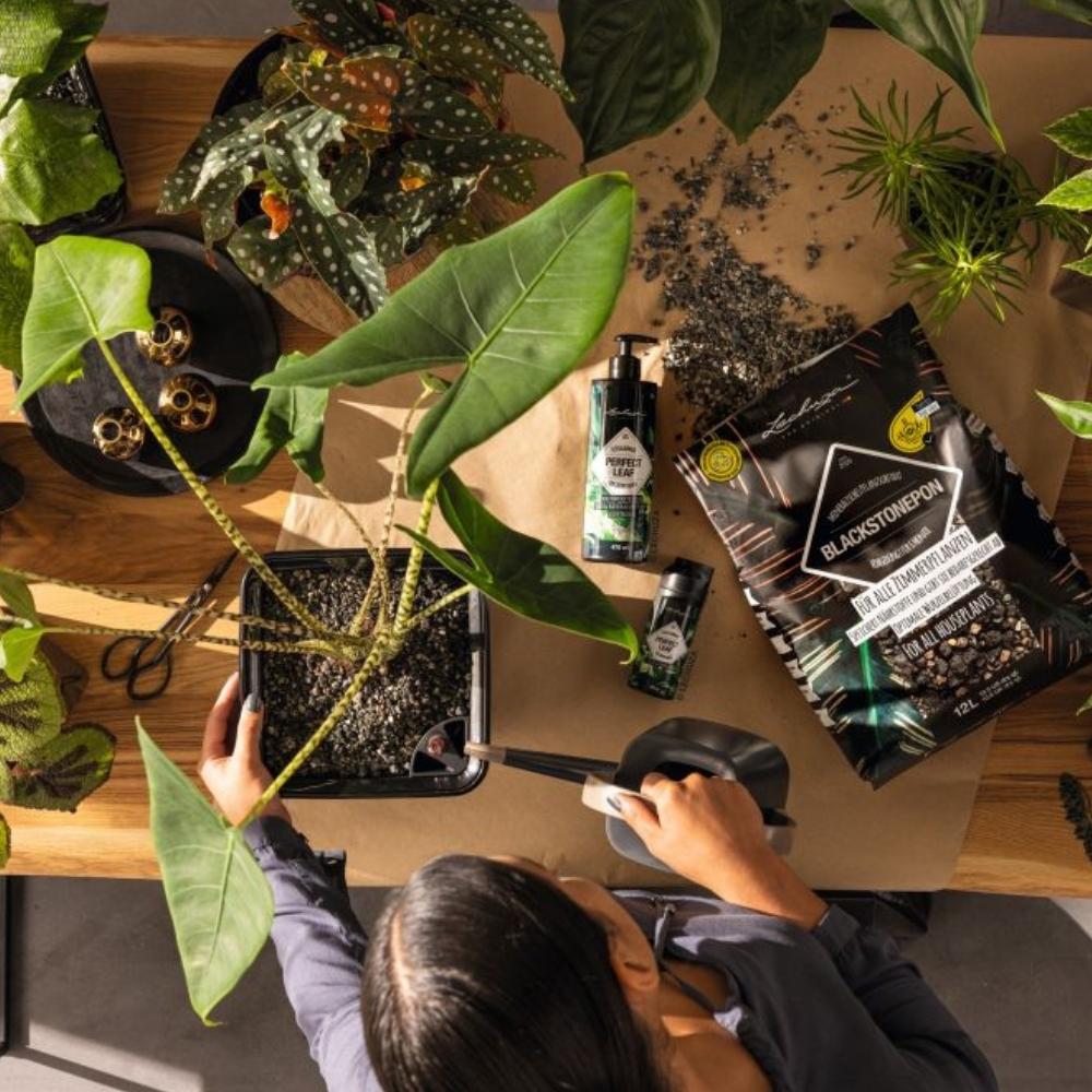 Substrat Mineral LECHUZA Blackstonepon 6 l, 100% fara turba, culoare neagra deosebita, cu ingrediente naturale