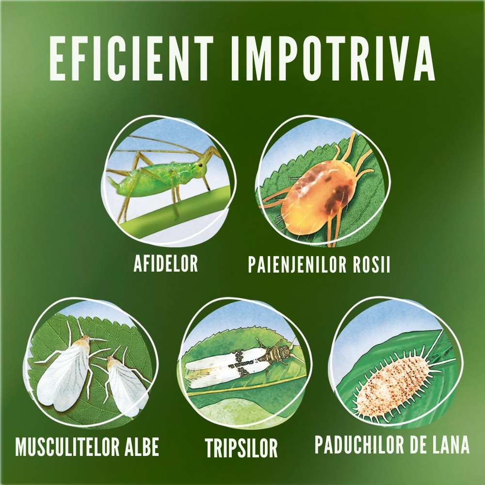 Spray Insecticid pentru Plante Verzi si Infloritoare, 750 ml, Protectie Completa, COMPO
