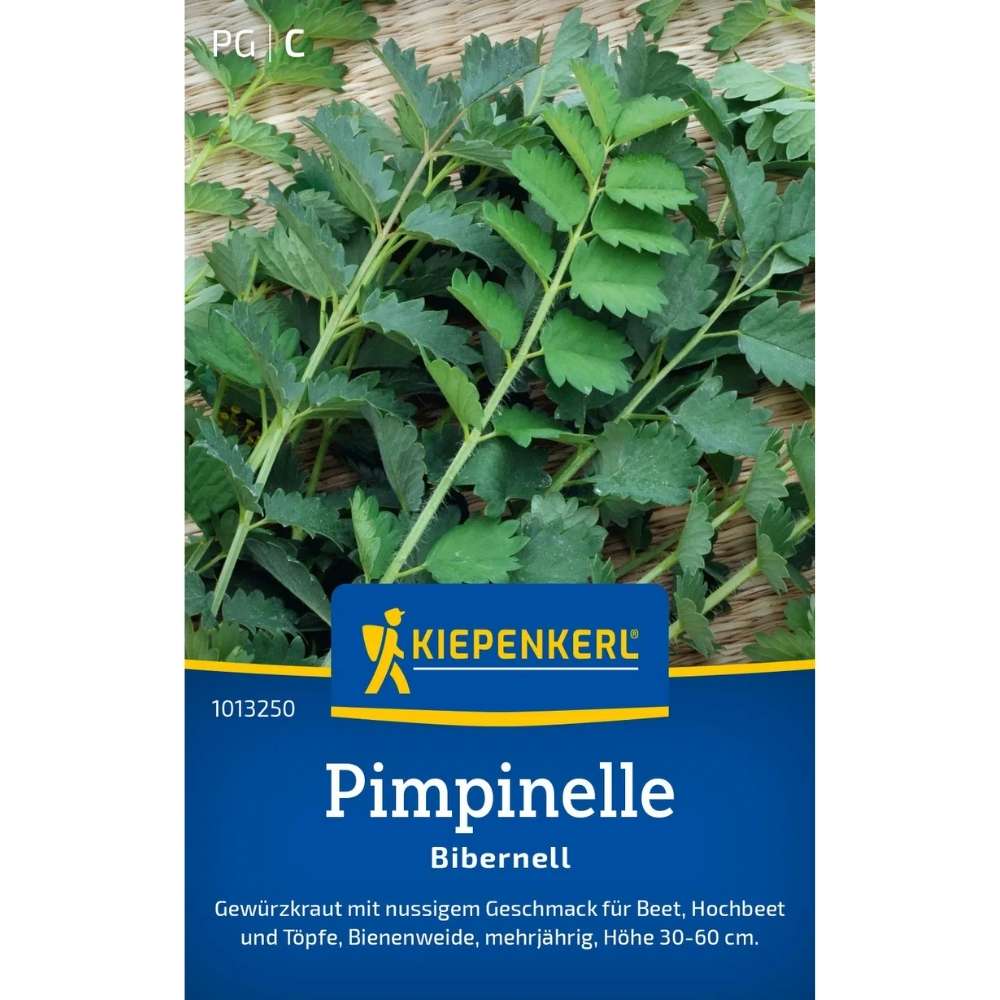 Seminte de pimpinella – planta aromatica si medicinala, ajunge pentru 80 Plante