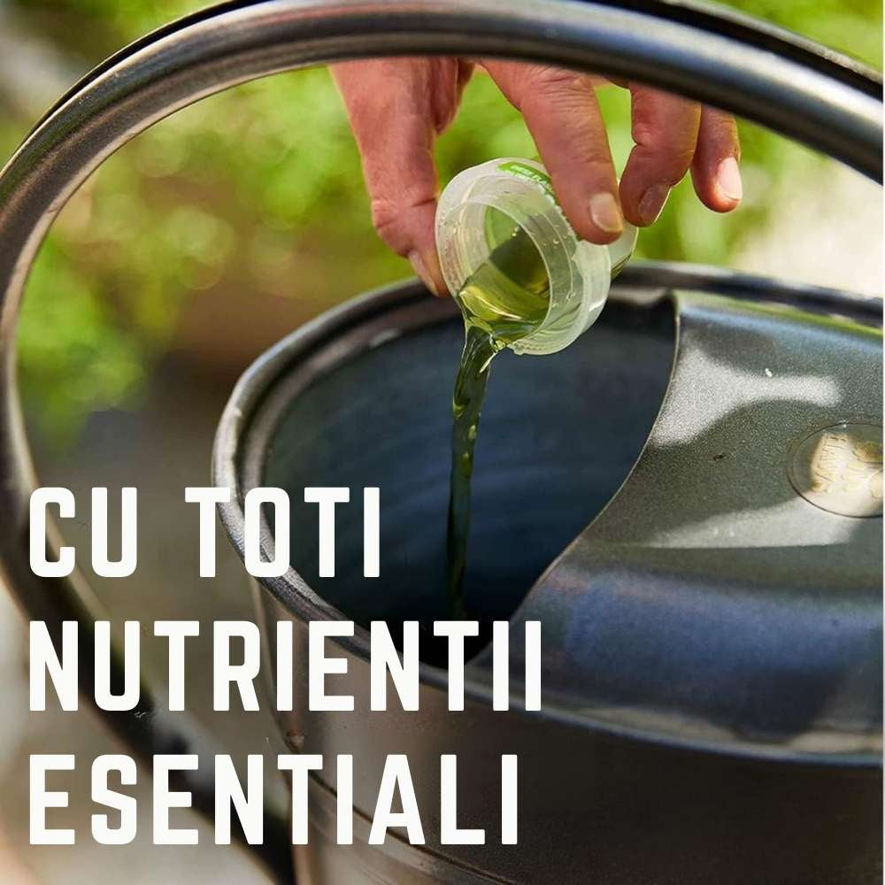 Ingrasamant lichid COMPO pentru trandafiri, flori intense si crestere sanatoasa, 1 l