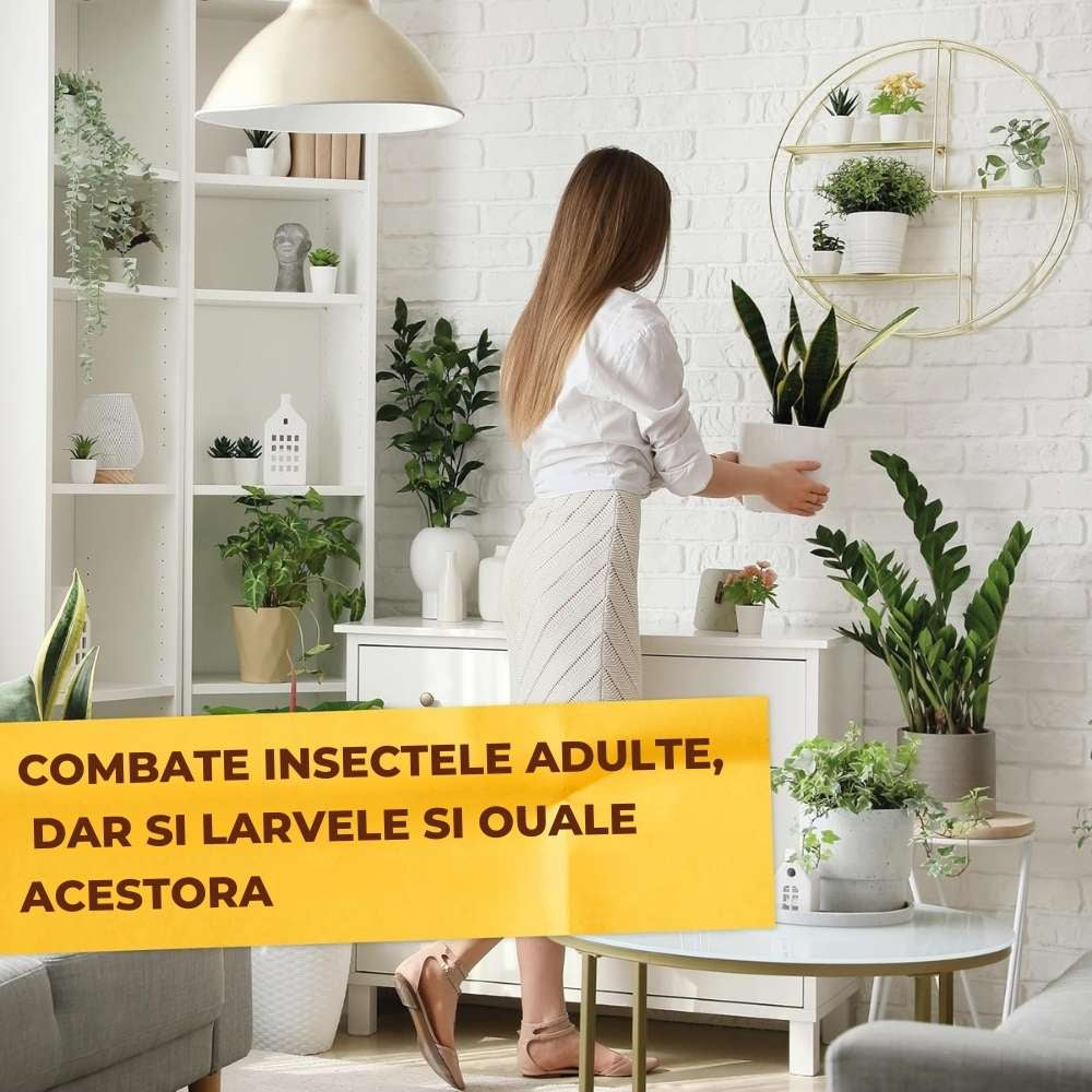 Spray insecticid organic SOLABIOL gata de utilizat, impotriva acarienilor si daunatorilor, 500 ml