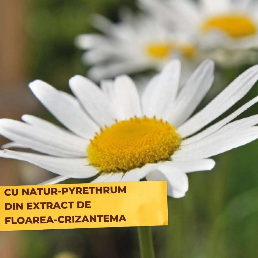 Spray insecticid organic SOLABIOL gata de utilizat, impotriva acarienilor si daunatorilor, 500 ml