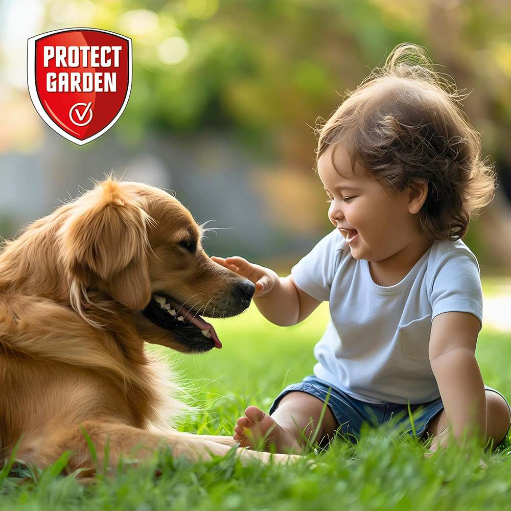 Erbicid selectiv PROTECT GARDEN Loredo Quattro pentru gazon, combatere buruieni cu frunza lata, 400 ml