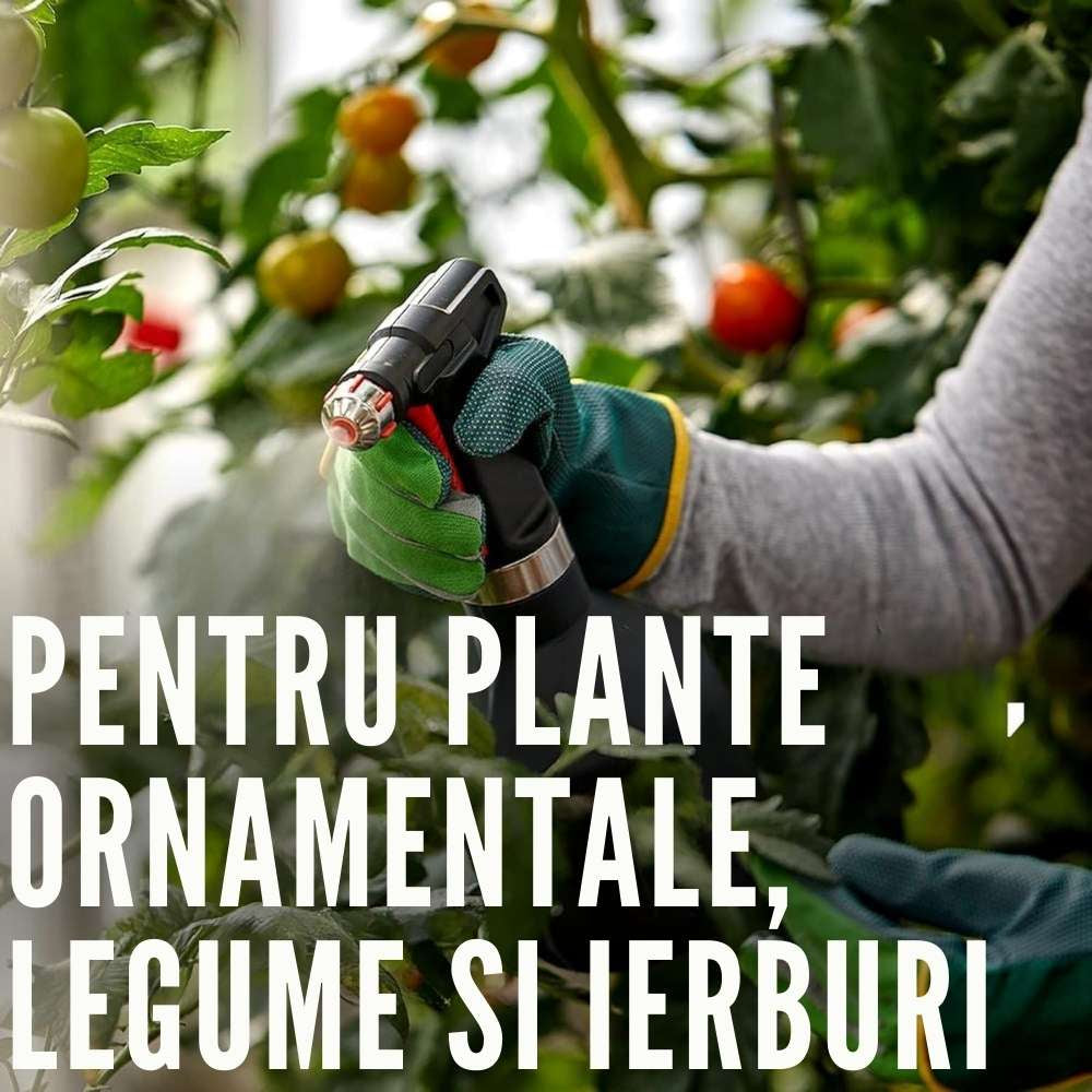 Fungicid concentrat COMPO Ortiva Special Pilz-frei AF pentru plante ornamentale si legume, 1 l