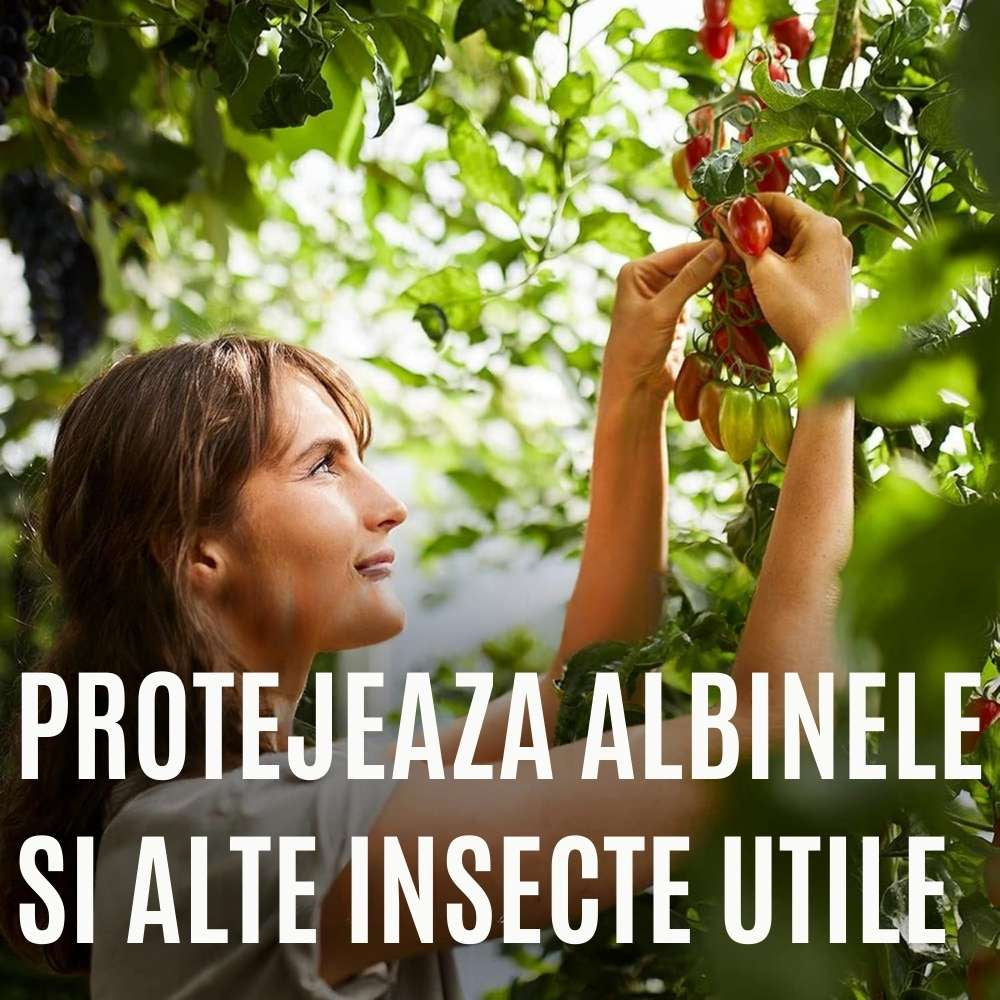 Fungicid concentrat COMPO Ortiva Special Pilz-frei AF pentru plante ornamentale si legume, 1 l