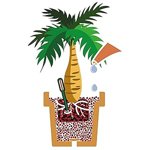 Substrat special pentru palmieri SERAMIS, granule din argila pentru inlocuire completa pamant ghiveci, drenaj optim si crestere sanatoasa, 15 l