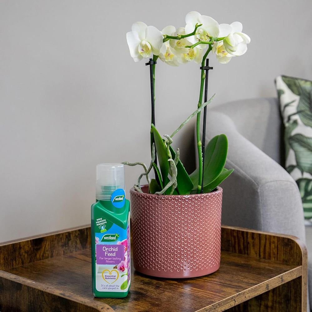 Ingrasamant lichid pentru orhidee WESTLAND, crestere sanatoasa si flori de lunga durata, 200 ml