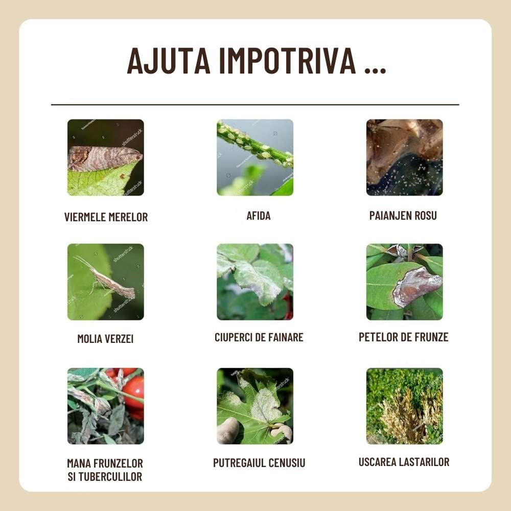 Spray plante SUBSTRAL Naturen Urtica, solutie organica pentru vitalitate, protectie naturala si reducerea daunatorilor, 750 ml