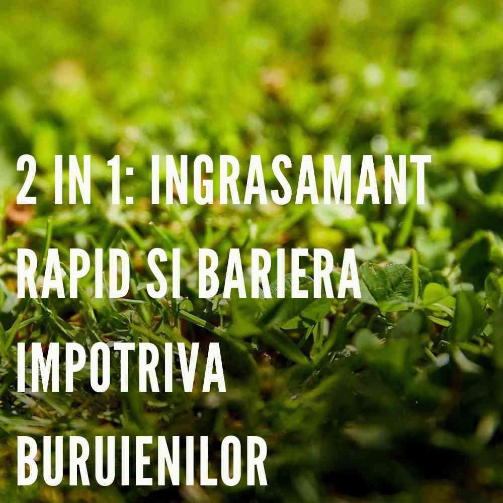 Ingrasamant gazon anti buruieni preventiv COMPO efect 6–8 saptamani, fertilizant organic-mineral, 200 mp, 10 kg