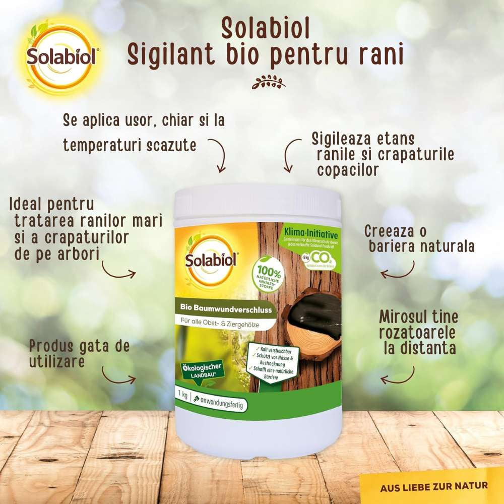 Vopsea trunchi arbori Solabiol, vopsea alba pentru protectie organica, 1 kg
