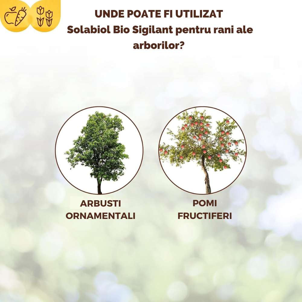 Vopsea trunchi arbori Solabiol, vopsea alba pentru protectie organica, 1 kg