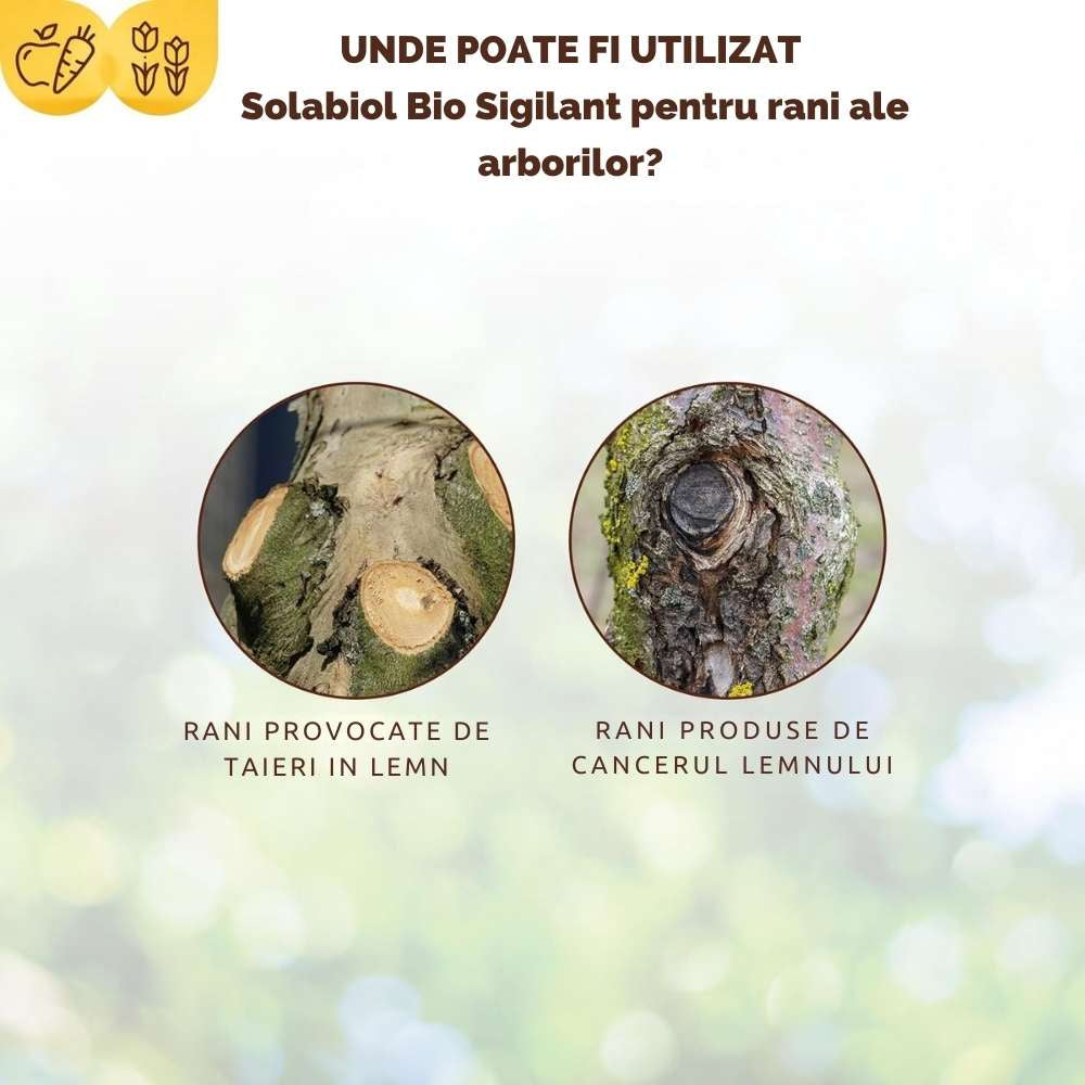 Vopsea trunchi arbori Solabiol, vopsea alba pentru protectie organica, 1 kg