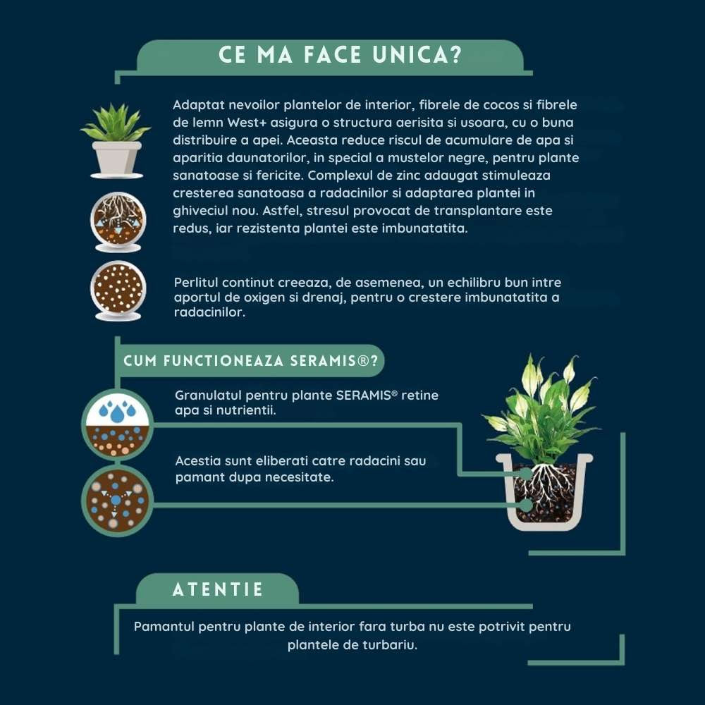 Substrat plante interior WESTLAND cu granule de argila, sol nutritiv pentru crestere sanatoasa, 4 l