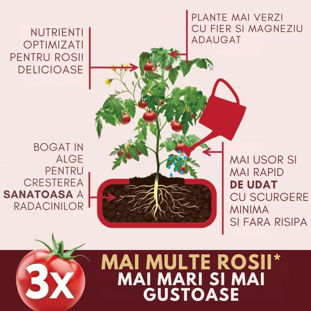 Ingrasamant lichid WESTLAND Big Tom pentru rosii, productie crescuta si gust intens, pana la 3 ori mai multe rosii, 1 l