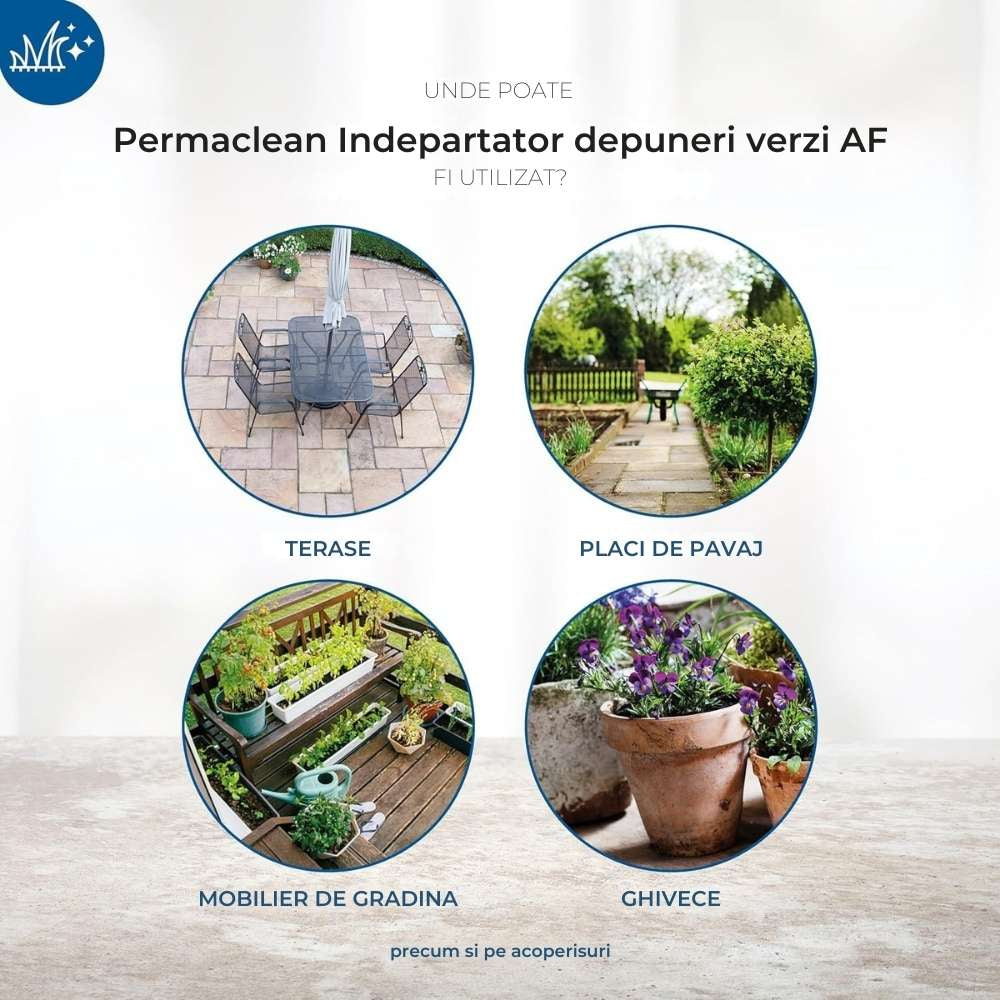 Solutie curatare pietre PROTECT HOME Permaclean AF, spray antialge si verdeata, 500 ml