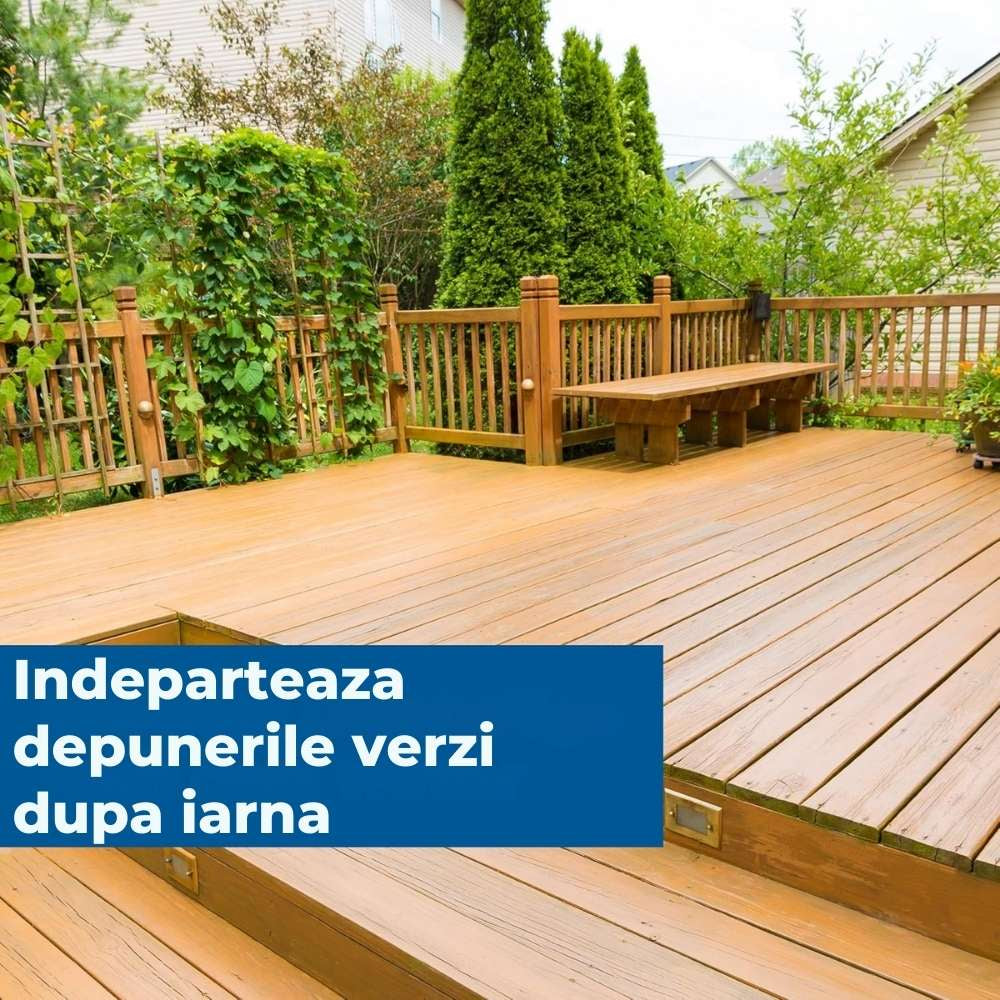 Solutie curatare pietre PROTECT HOME Permaclean AF, spray antialge si verdeata, 500 ml