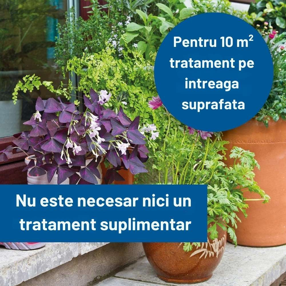 Solutie curatare pietre PROTECT HOME Permaclean AF, spray antialge si verdeata, 500 ml