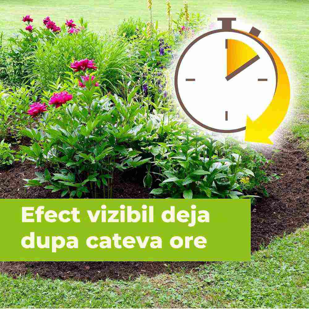 Spray herbicid total fara glifosat PROTECT GARDEN Permaclean Express, gata de utilizare, actiune rapida, anti buruieni alge si muschi, 10 mp, 1 l