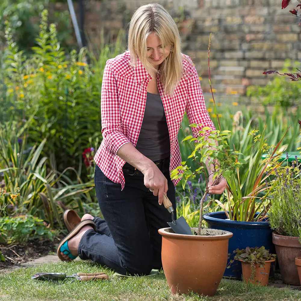 Lopatica gradina Kent & Stowe din otel carbon, maner lemn frasin FSC, pentru plantare si transplantare, garantie 10 ani