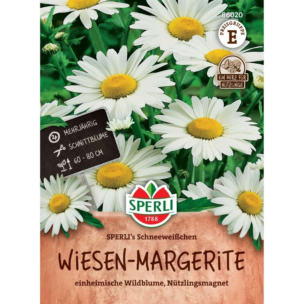 Seminte margarete de camp SPERLI Schneeweisschen – flori albe delicate