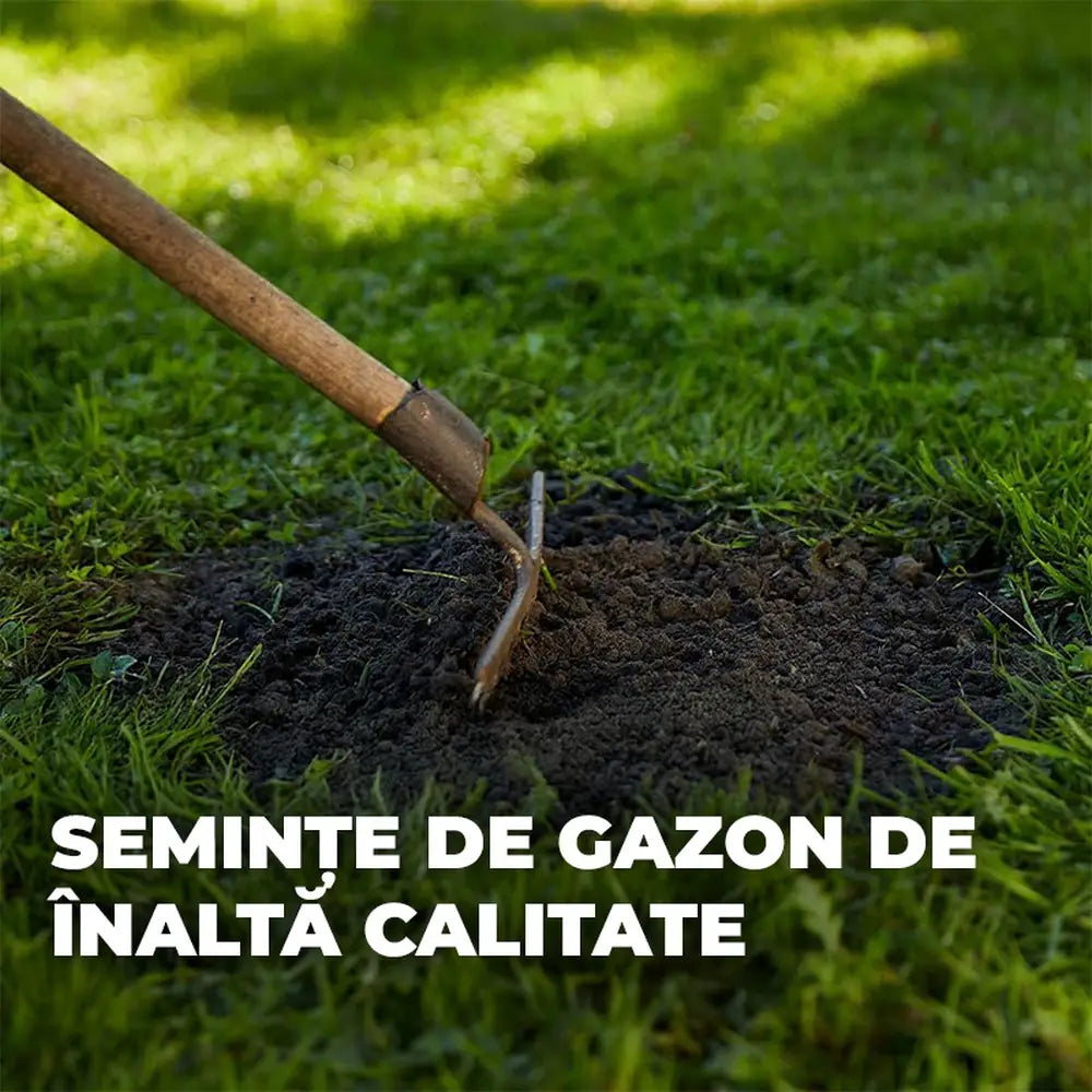 Compo seminte gazon rezistent trafic intens 1 kg pentru 50 mp – amestec profesional pentru gazon de sport si joaca