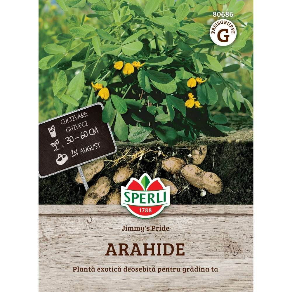 Seminte arahide Jimmy's Pride – ideale pentru gradini calde