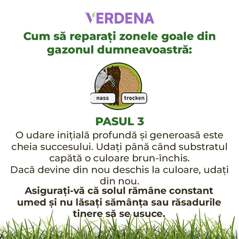 Reparare gazon Substral Plastura Magica 3 in 1 cu seminte gazon substrat si ingrasamant 1 kg pentru zone goale